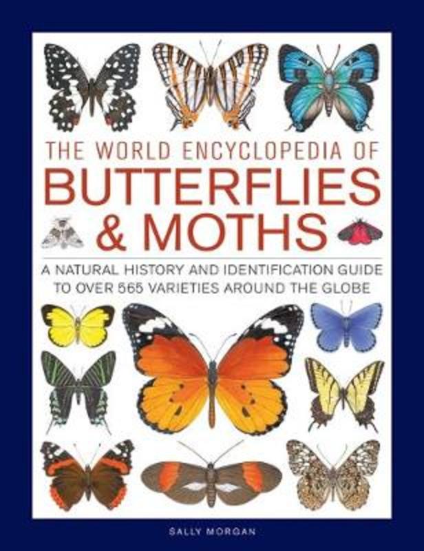 Butterflies & Moths, The World Encyclopedia of by Sally