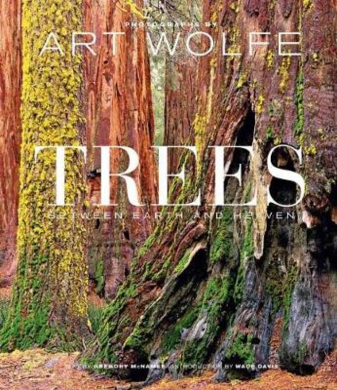 Trees by Art Wolfe (9781683839262) Harry Hartog Bookseller