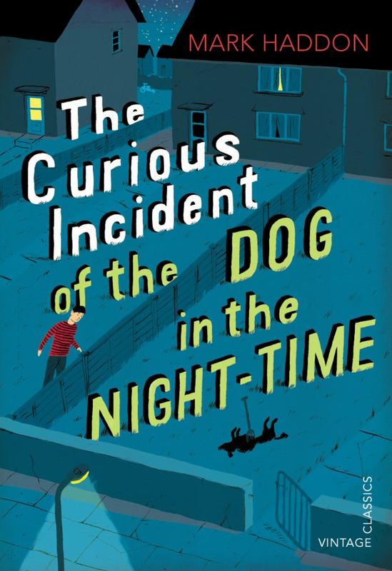 dog in the nighttime dog in the nighttime