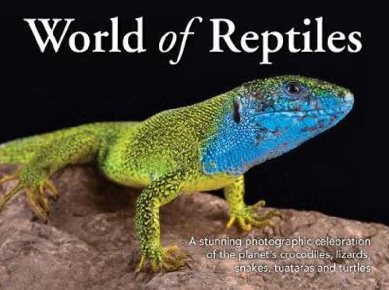 World of Reptiles by Reed New Holland (9781925546538) | Harry Hartog